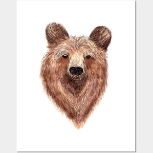 Hand Drawn Bear - color Posters and Art